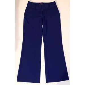 Blue Flare Dress Pants